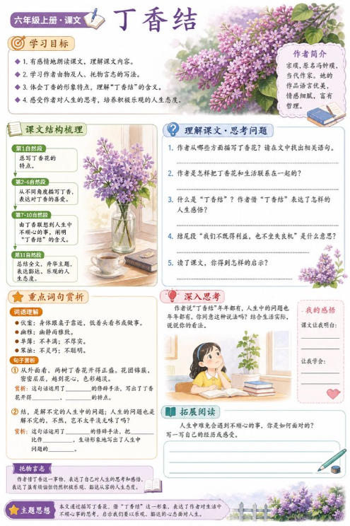 丁香结--超彩高清版本
