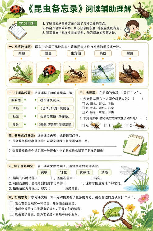 昆虫备忘录--超彩高清版本