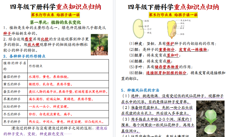 【2026春20页完整版】四年级下册科学知识点归纳