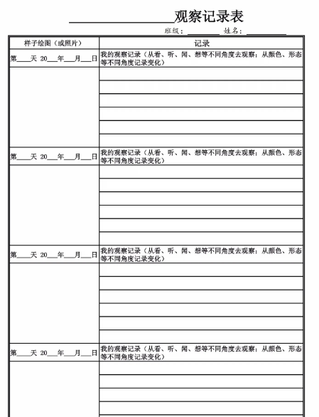 【4页完整版】四（上）语文【第三单元习作观察日记专项练习】