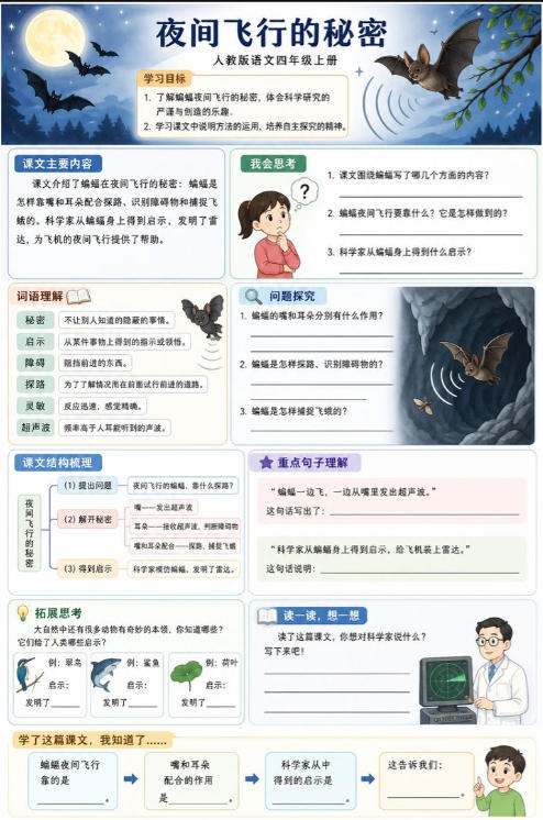 夜间飞行的秘密--超彩高清版本