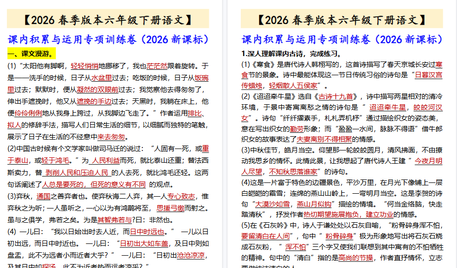 2026春新版【六年级下册语文】 课内积累与运用专项训练卷