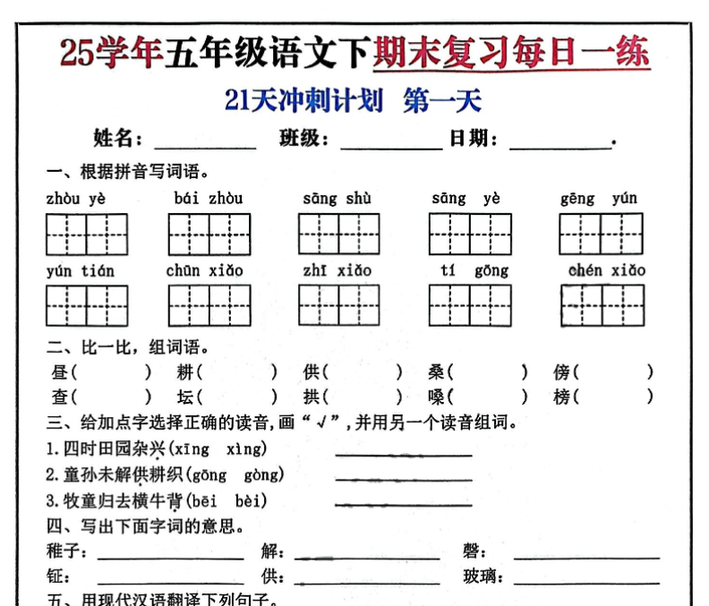21页!2025春五下语文期末21天冲刺计划