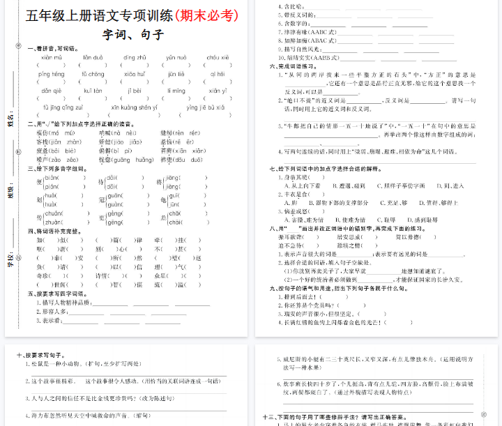 【5页完整版】《语文字词、句子专项训练》