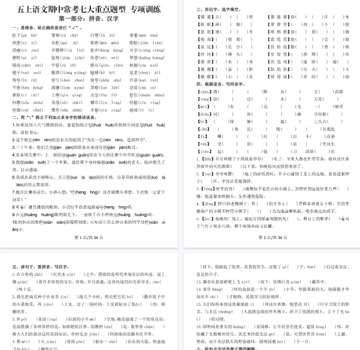 【34页完整版】五上丨语文 期中常考七大重点题型专项训练