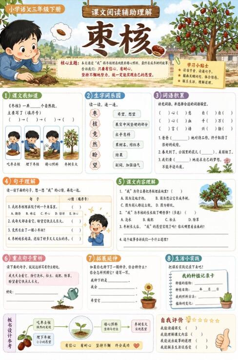 枣核--超彩高清版本