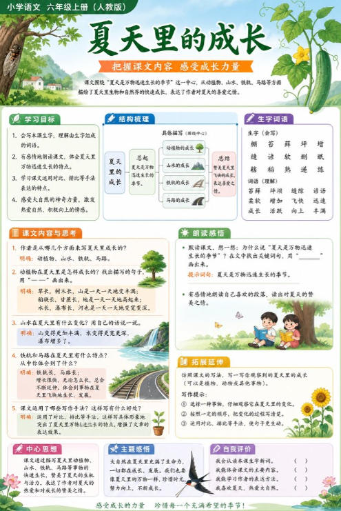 夏天里的成长--超彩高清版本