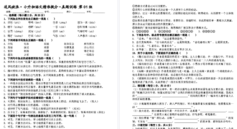【10页高清完整版】六年级（下）语文小升初精准提分真题训练