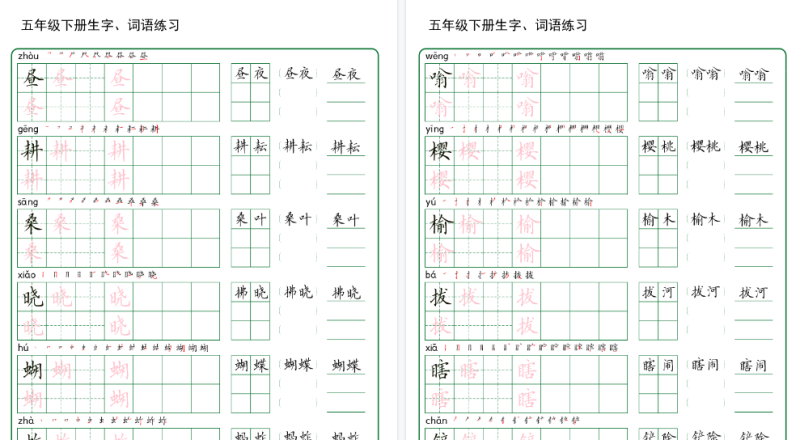【30页高清版】《同步生字词语练字帖》(5下)