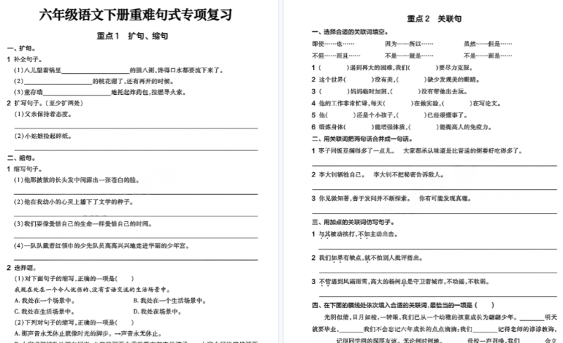 【10页完整版】六年级(下)语文重难点句式专项训练