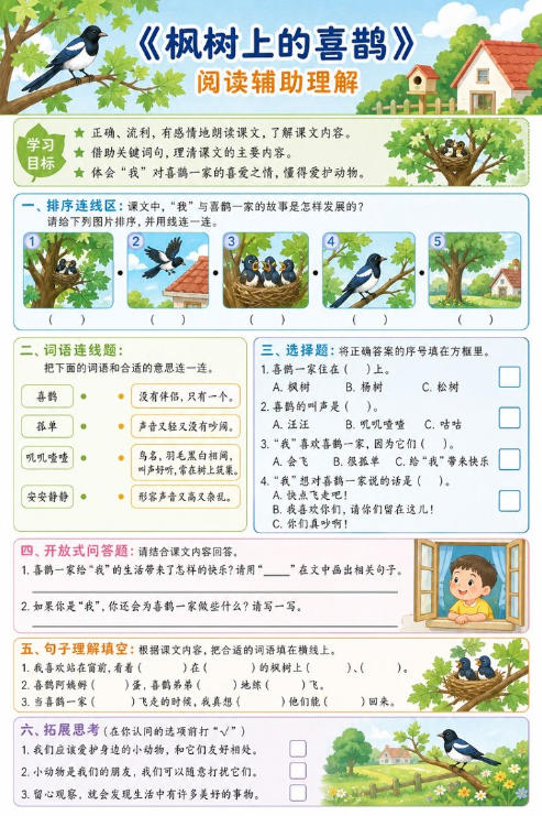 枫树上的喜鹊--超彩高清版本