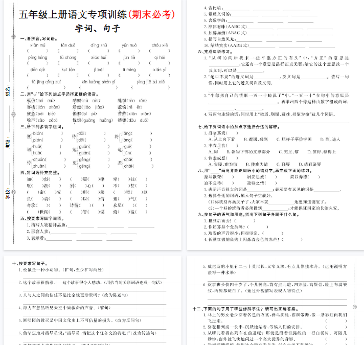 【5页完整版】《语文字词、句子专项训练》