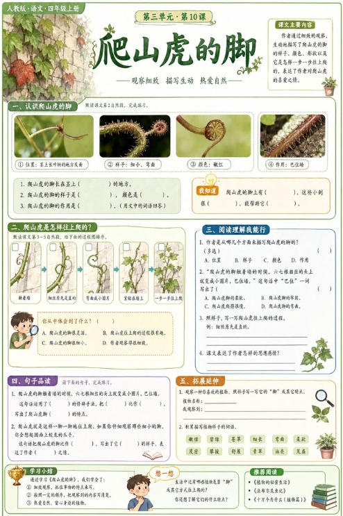 爬山虎的脚--超彩高清版本