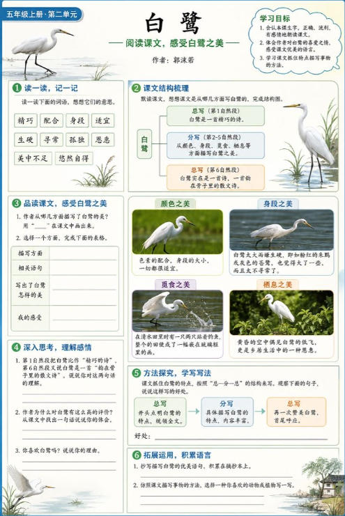 白鹭--超彩高清版本