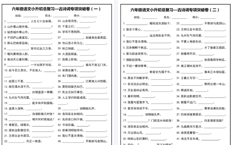 26春六年级语文小升初总复习古诗词专项突破卷