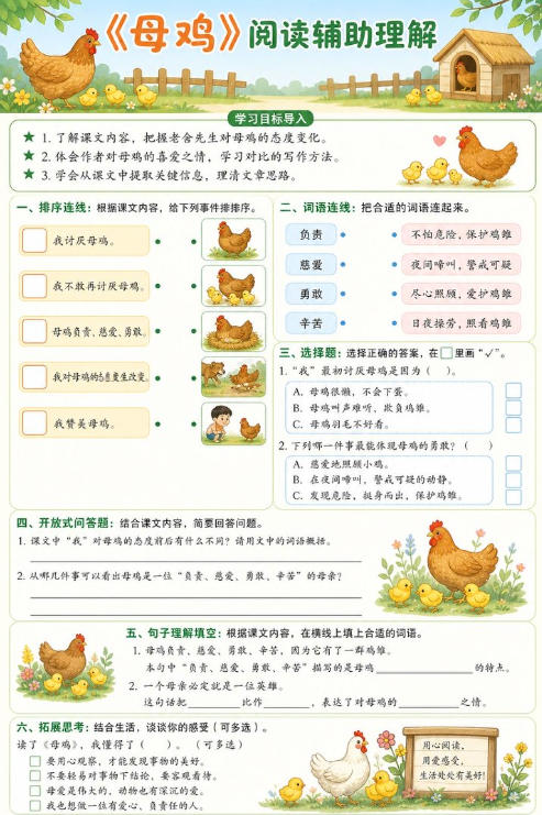 母鸡--超彩高清版本