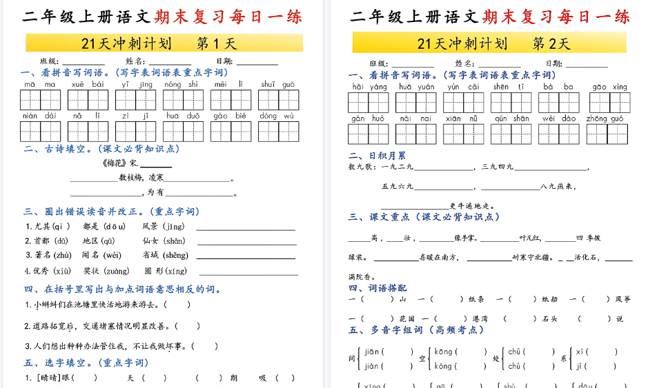 【42页高清完整版】二年级上册语文期末复习每日一练21天冲刺计划