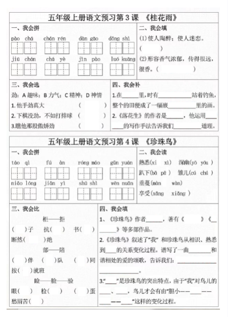 《2025春新课改五年级上册语文同步学习单》
