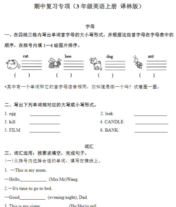 期中复习专项(3年级英语上册 译林版)