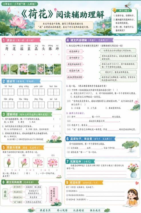 荷花--超彩高清版本