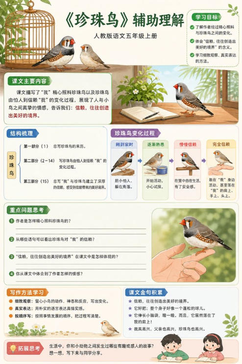 珍珠鸟--超彩高清版本