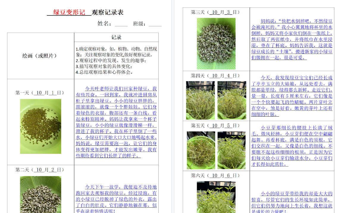 【8页完整版】四上语文观察记录表