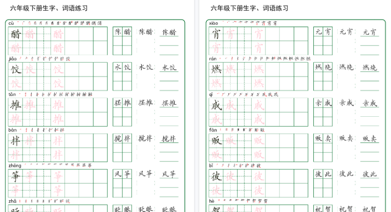 【20页高清版】《同步生字词语练字帖》（6下）