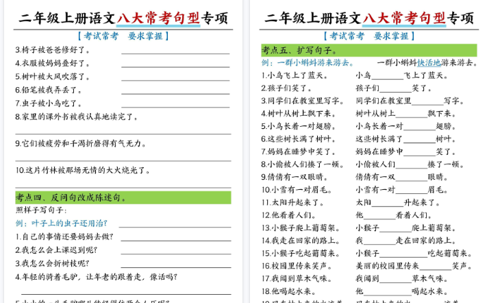 【16页高清完整版】二上语文八大类句子专项专项练习