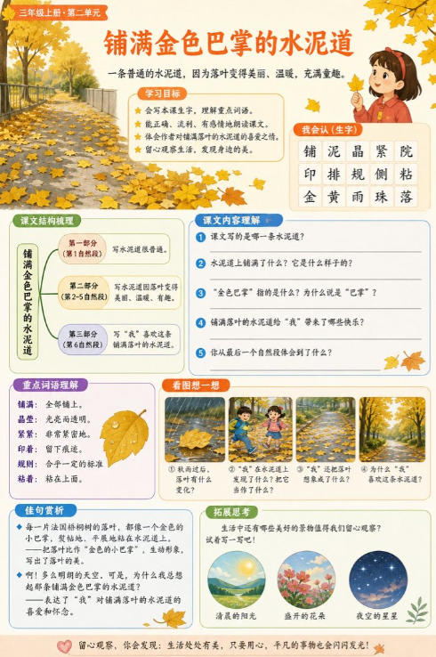 铺满金色巴掌的水泥道--超彩高清版本