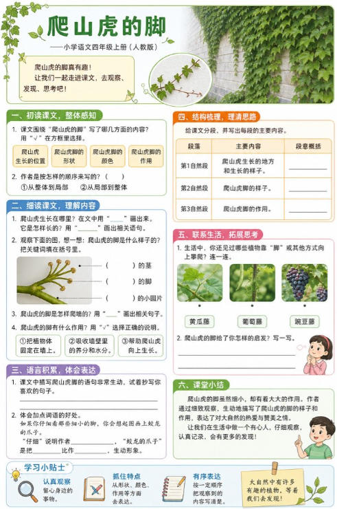 爬山虎的脚--超彩高清版本