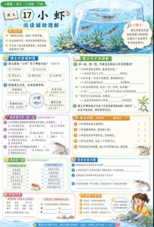 小虾--超彩高清版本