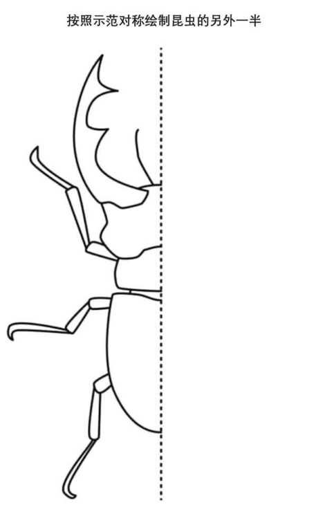 2.png