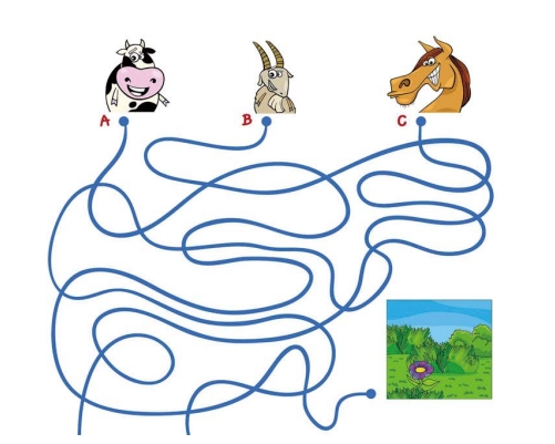 2.png