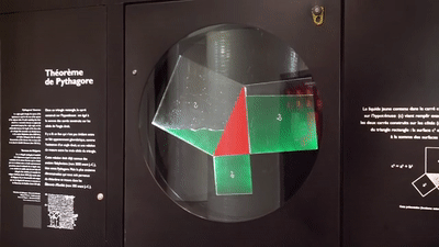 6.gif
