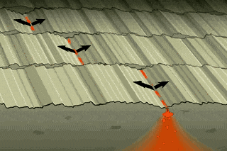 6.gif
