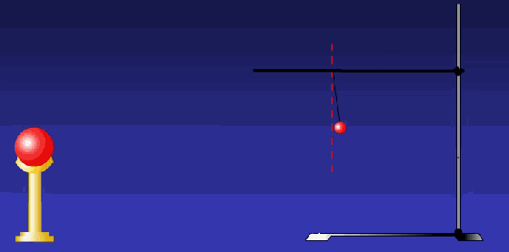 11.gif