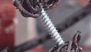 18.gif