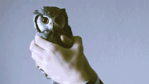 3.gif