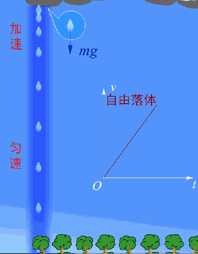 12.gif