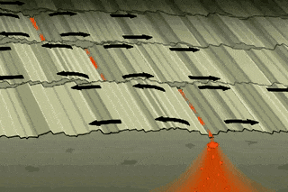 7.gif