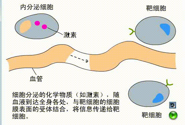 7.gif