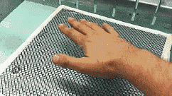 4.gif