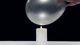4.gif