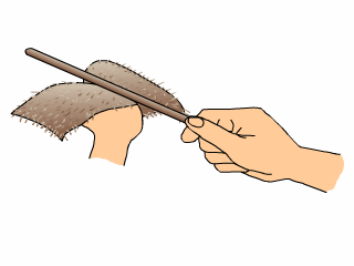 12.gif