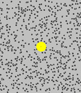72.gif