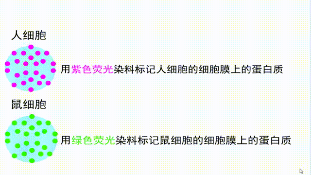 11.gif