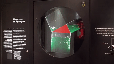 7.gif