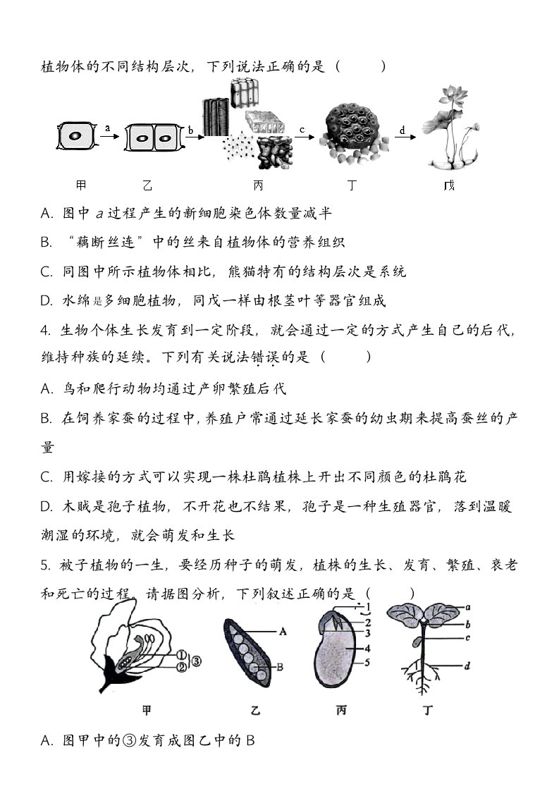 资料预览 第2页