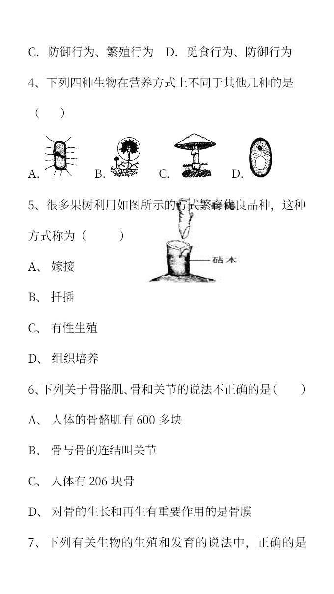 资料预览 第2页