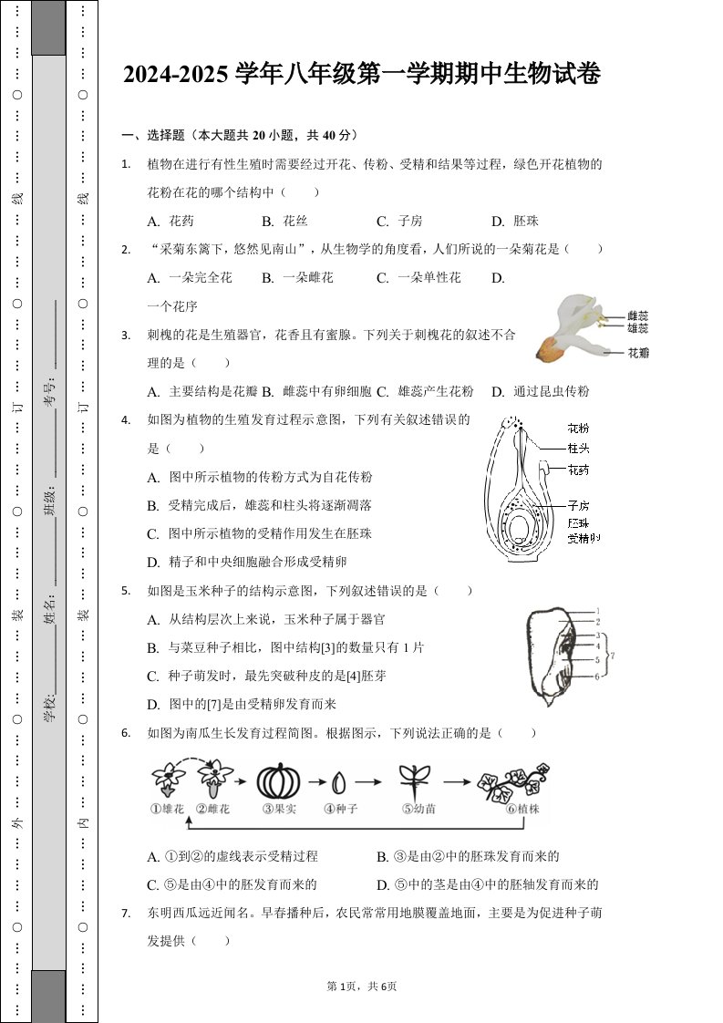 资料预览 第1页
